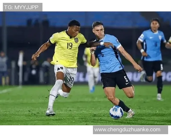 2014年世界杯乌拉圭与厄瓜多尔激战回顾及精彩瞬间分析