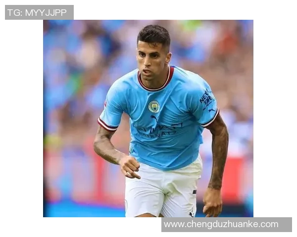 坎塞洛在球队中的角色转变与未来发展潜力分析